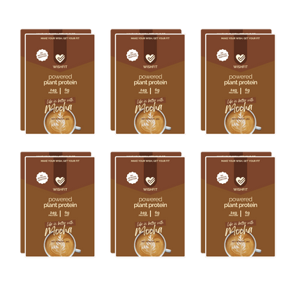 On-the-Go Plant Protein Sachets | Single Servings (6, 12, 18 Packs) - Wishfit Wellness